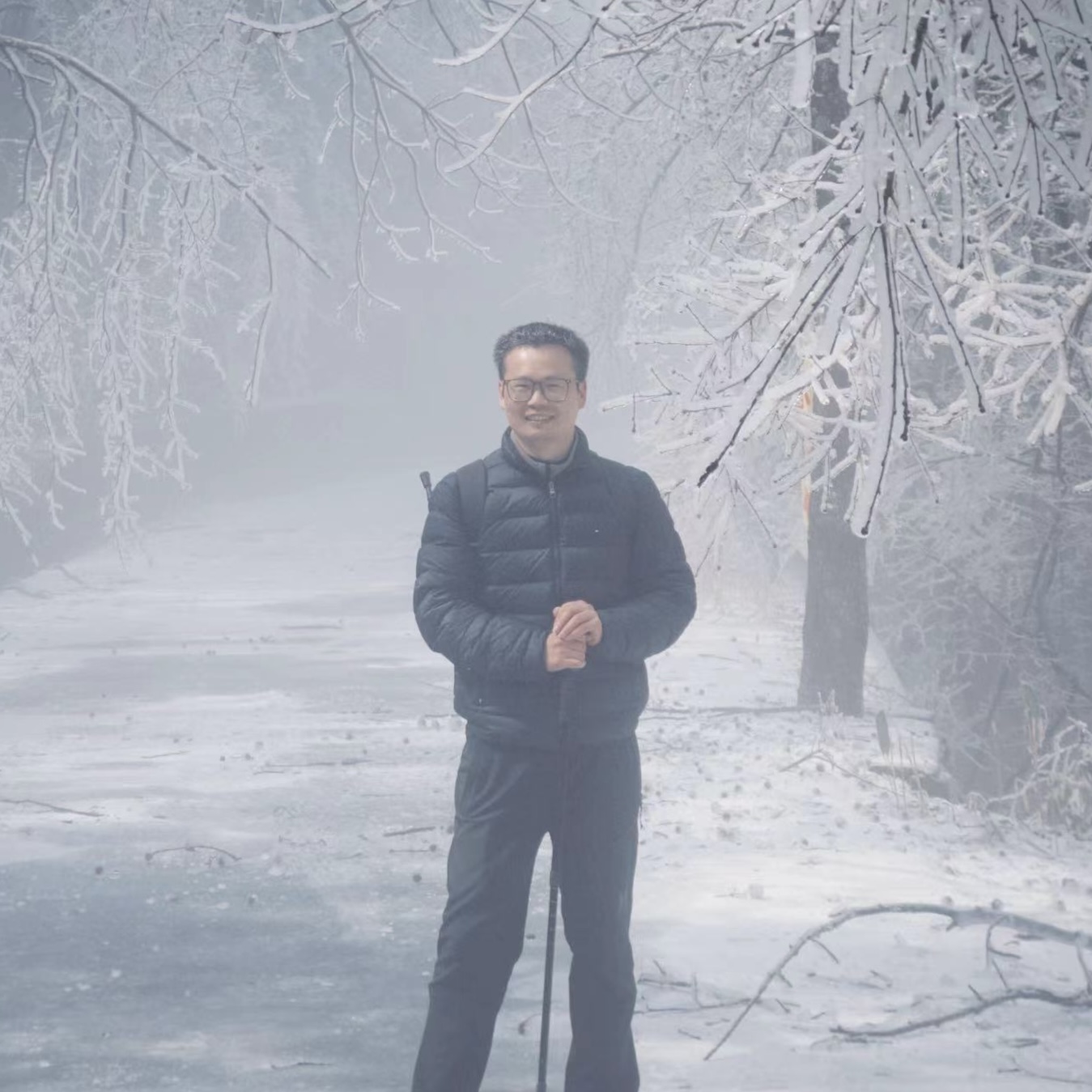 胖囧在雪景中的照片
